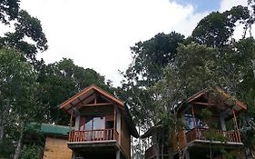 Saffron Eco Cottage